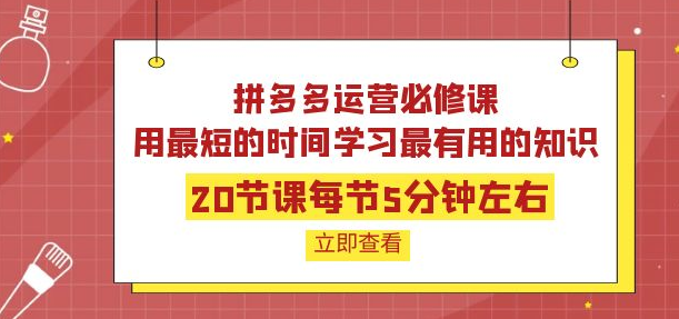 图片[1]-拼多多开店运营课程：用最短的时间学好拼多多运营-虚拟货源网