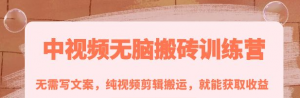 中视频搬砖玩法：纯视频剪辑搬运，无需写文案就能获取收益！-虚拟货源网
