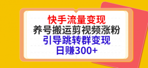 快手流量变现绝密教程，引导跳转群变现日赚300+-虚拟货源网