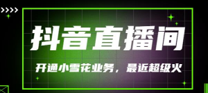 抖音直播间开通小雪花业务（外面收费288）最近超火-虚拟货源网