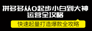 拼多多开店怎么运营：拼多多小白到大神运营全攻略，快速起量打造10W+爆款-虚拟货源网